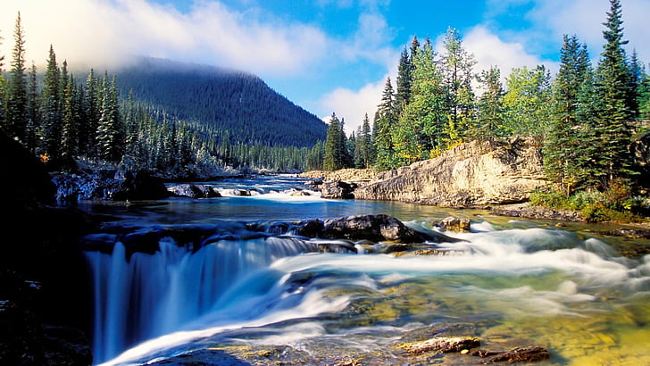 Nature scenery, forest, thick spruce, river, rocks, waterfalls, mountain