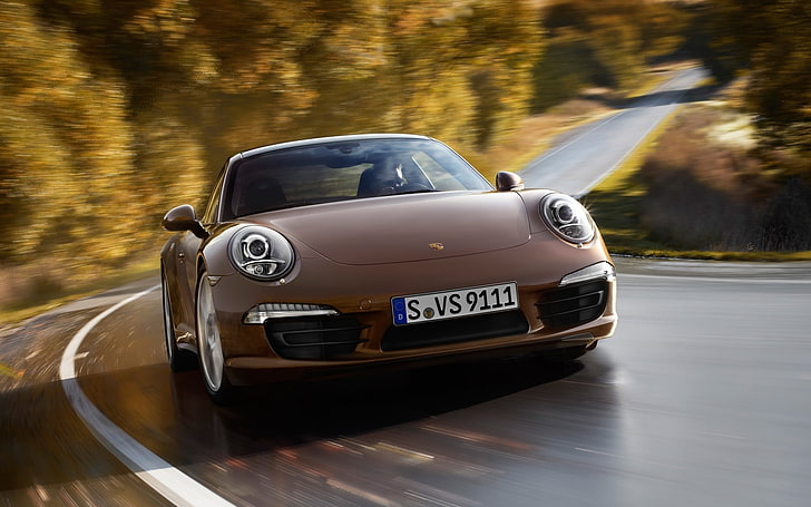 road, trees, coupe, 911, Porsche, supercar, brown, the front, HD wallpaper