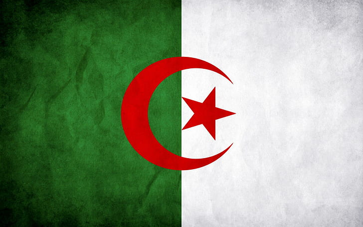 Algeria Flag, moon, green, white, star, 3d and abstract