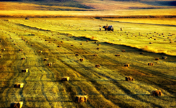 Armenia, Arpi Lake, farm and hays, Nature, Landscape, Field, Straw