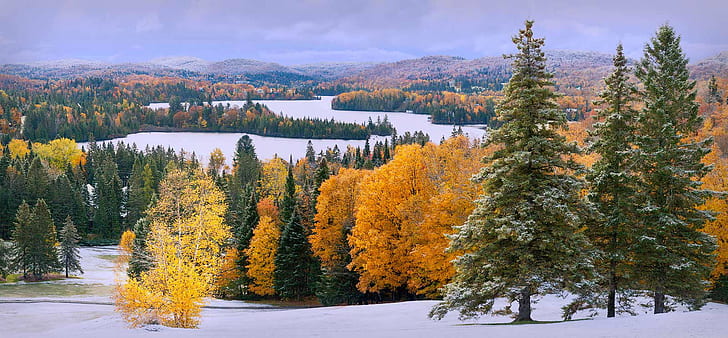 landscape photo of brown and green leaf trees, First Snow, Canada