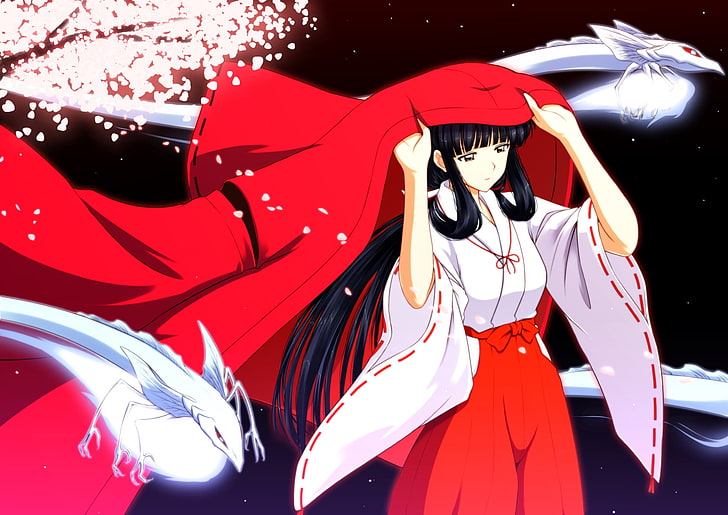 40 Top Images Black Haired Inuyasha - The Mystery Of The New Moon And The Black Haired Inuyasha Inuyasha
