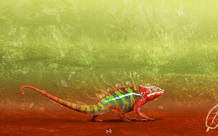 Great Chameleon, HD wallpaper