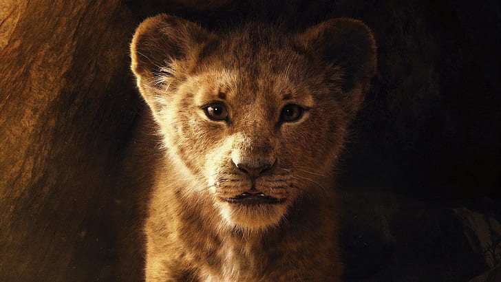The Lion King 2019 5K, HD wallpaper