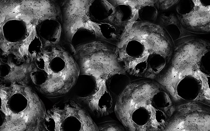 HD wallpaper: Scary Skulls 4K, full frame, close-up, no people, backgrounds  | Wallpaper Flare