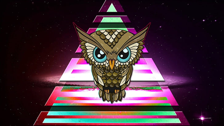 brown owl illustration, triangle, colorful, space, Illuminati