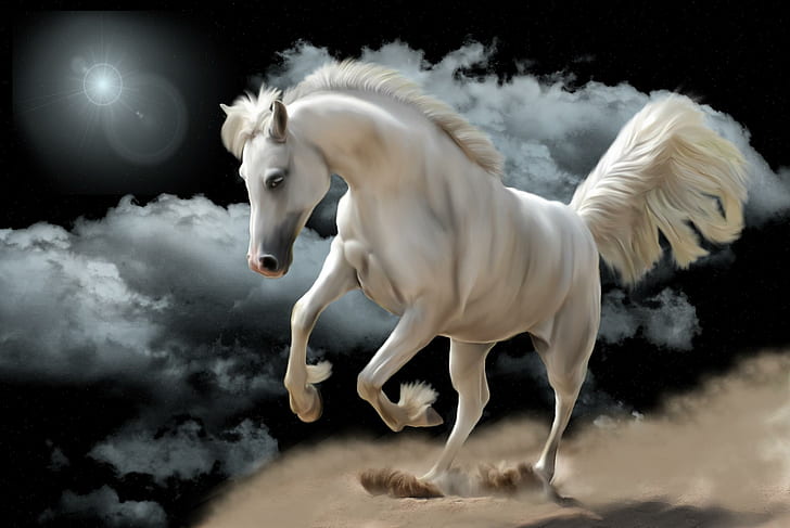 HD wallpaper: Horse White, clouds, fantasy, animals | Wallpaper Flare