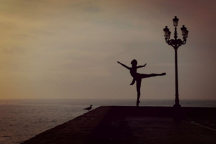 abendstimmung, ballet dancer, ballet ocean, bird, emotion, evening sky, HD wallpaper