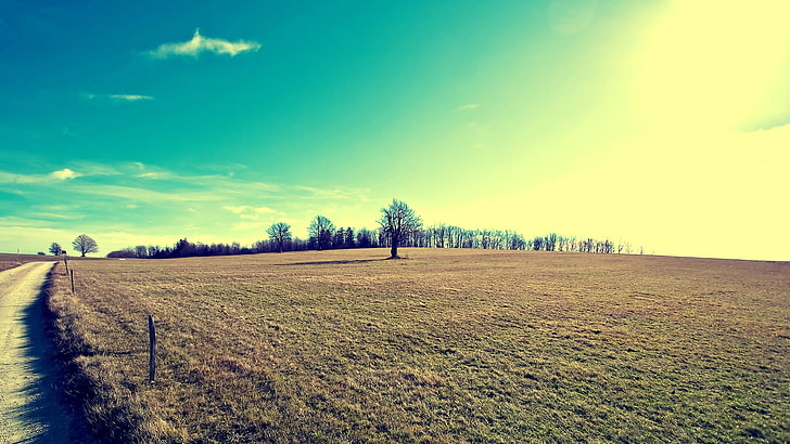grass field, landscape, winter, trees, sky, plant, tranquil scene, HD wallpaper