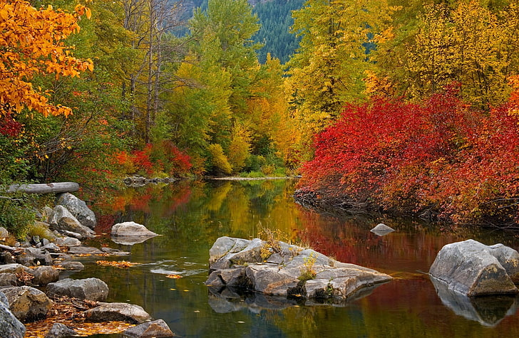 Nason Creek Stevens Pass Washington, body of water, United States, HD wallpaper