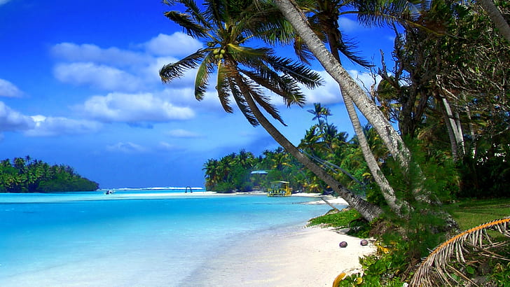 Beach Of Cayman Islands Tropical Landscape, Ocean Blue Water And Green Palm Trees