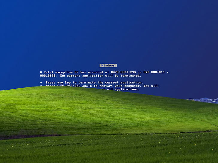 blue, death, error, microsoft, screen, windows, Xp, grass, green color