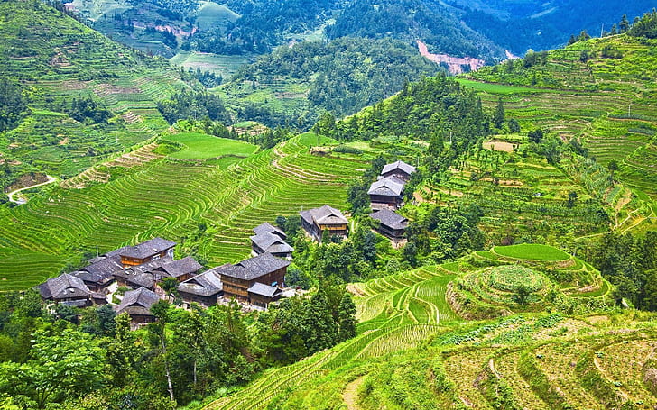 Longji Terraces, rice fields, Guilin, China, HD wallpaper