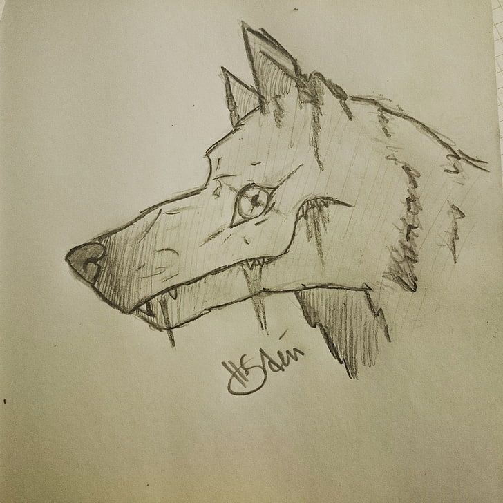 wolf, drawing, space art, paper, creativity, art and craft