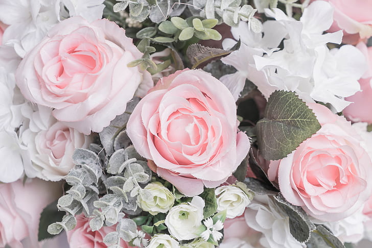 Hd Wallpaper Flowers Roses Pastel Colors Pale Flare - Pale Pink Desktop Wallpaper