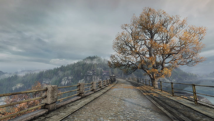 gray metal fence, The Vanishing of Ethan Carter, video games