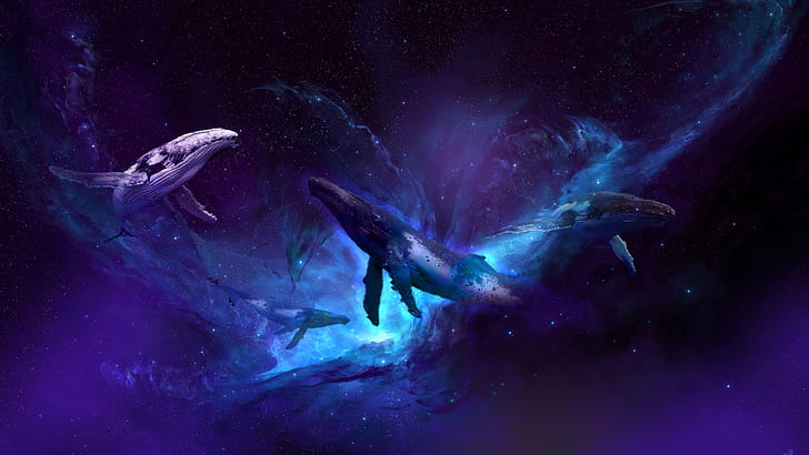 universe, whale, HD wallpaper