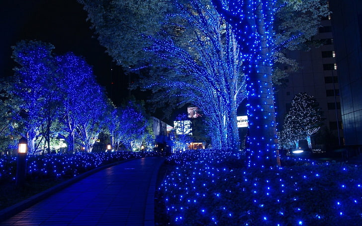 blue LED lights, night, cityscape, trees, illuminated, architecture, HD wallpaper