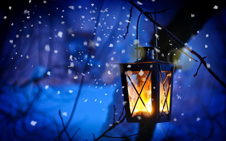 lantern, lights, lamp