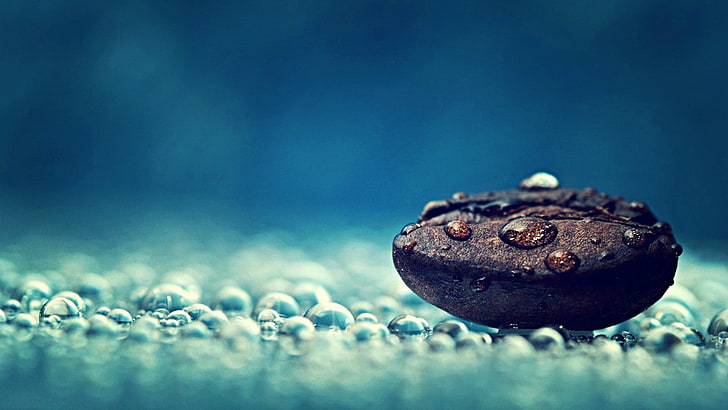 coffee bean, macro photography of of coffee bean, artwork, closeup, HD wallpaper