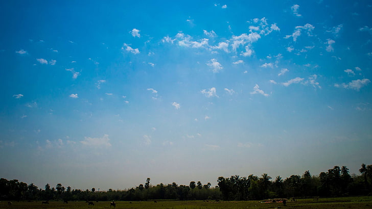 HD wallpaper: blue sky, india, nature, noon, sunset, village, cloud - sky |  Wallpaper Flare