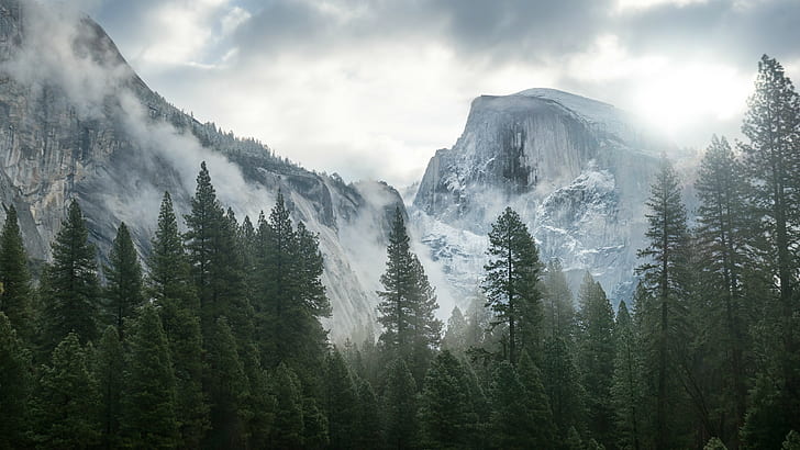 Yosemite National Park, nature, mountains, trees, mist