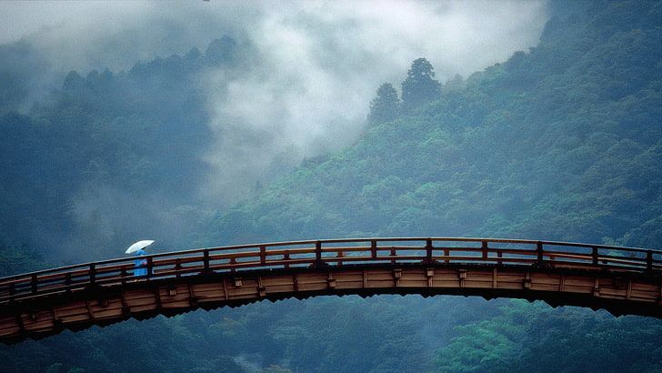 brown metal bridge, mist, China, umbrella, transportation, connection, HD wallpaper