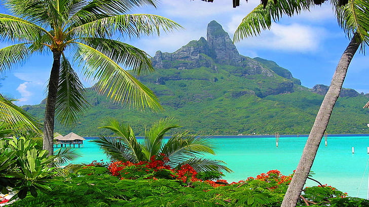Bora Bora Resort South Polynesia 324640