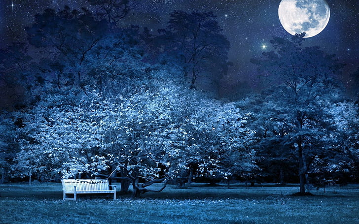 Night Bench Park Trees Stars Moon Sky Light Darkness Cg Digital Art Manip Photos, white wooden bench