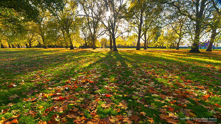 Hyde Park in Autumn, London, England