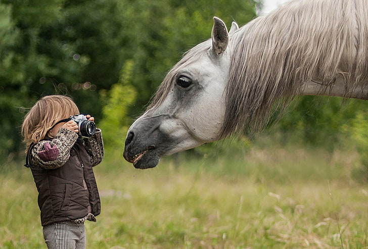 HD wallpaper: animals, camera, children, horse, mammal, domestic animals |  Wallpaper Flare