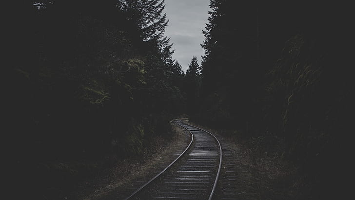 landscape, nature, forest, railroad track, dark