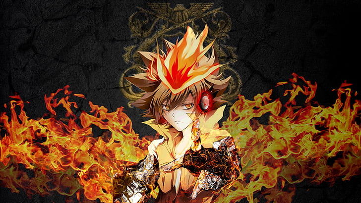 Anime, Katekyō Hitman Reborn!, Fire, Flame, Tsunayoshi Sawada