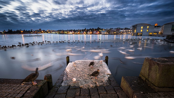 body of water with light fixture, Reykjavik, Iceland, Travel photography