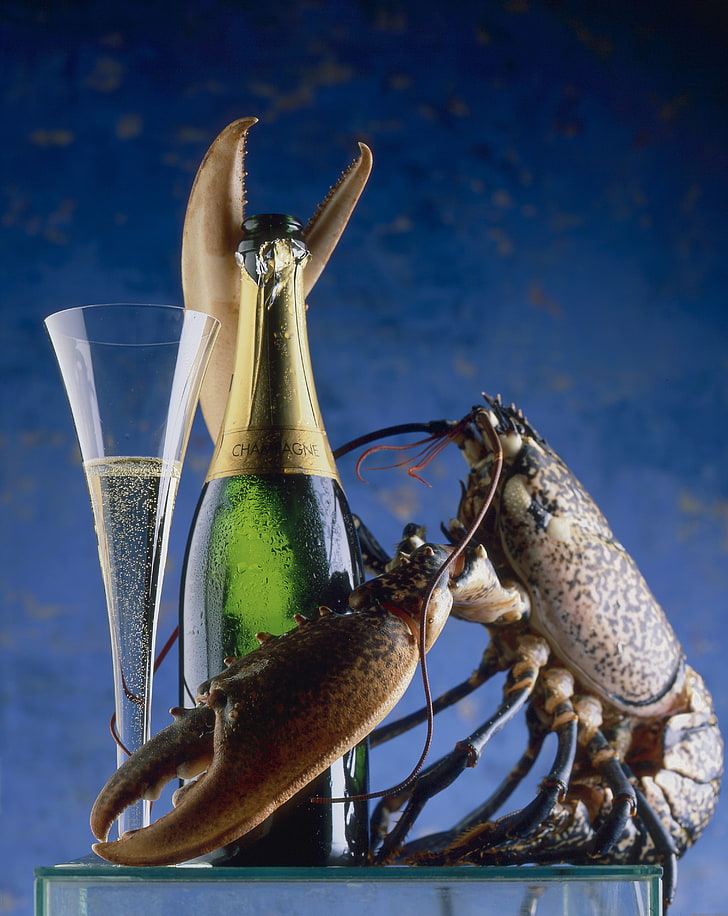 green wine bottle, lobsters, crustaceans, champagne, animals, HD wallpaper
