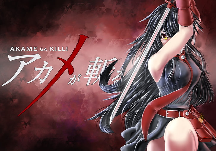 Akame ga Kill!, anime girls, arts culture and entertainment, HD wallpaper