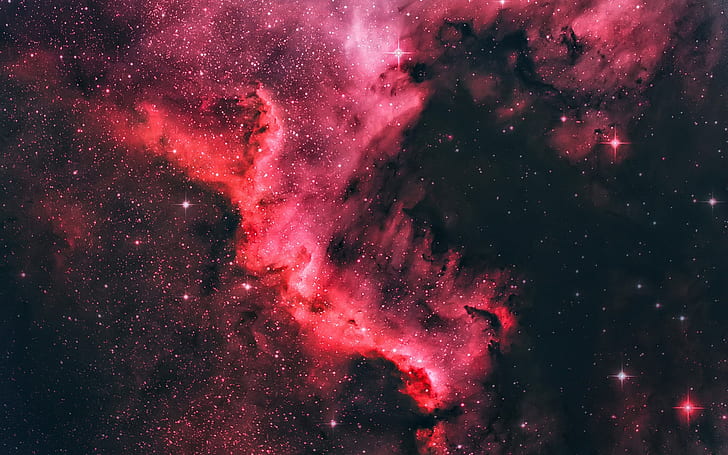 North America nebula, beautiful space, star, purple style, universe, black and red cosmic
