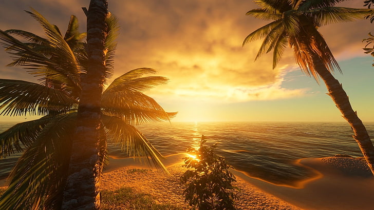 two coconut trees, landscape, sunset, beach, sky, CGI, palm tree, HD wallpaper