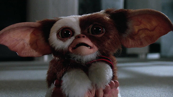 Hd Wallpaper Movie Gremlins 2 The New Batch Gizmo Wallpaper Flare