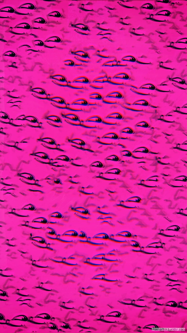 abstract, LSD, pink, cat, pink color, backgrounds, full frame