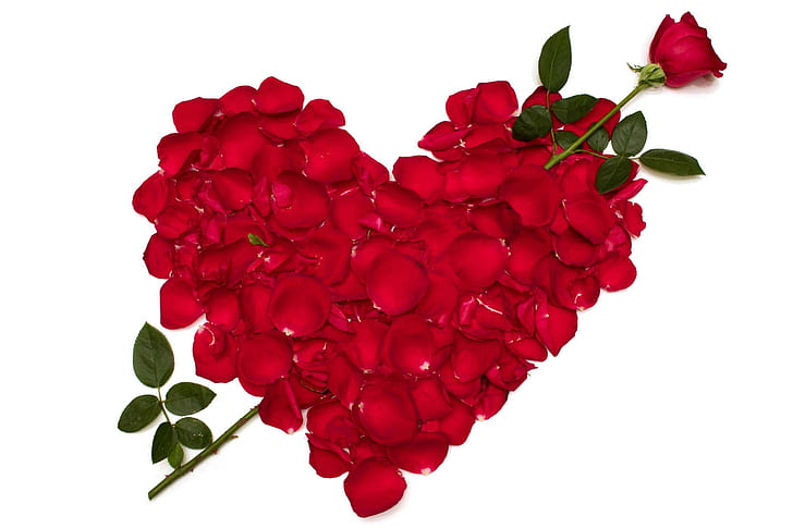 Roses Heart Red Petals Flowers, love, valentine's day, valentine 2014