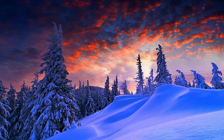 Page 3 Nature Landscape Snow Winter Forest Trees Sunset Pine Trees 1080p 2k 4k 5k Hd Wallpapers Free Download Wallpaper Flare