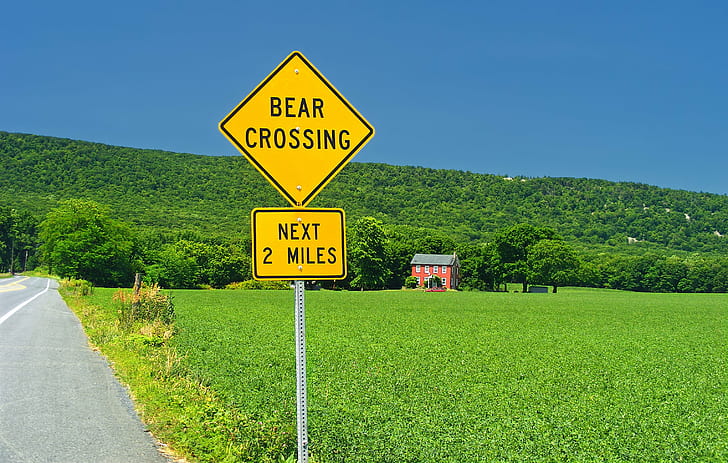 bear crossing road sign, Sharing, Pennsylvania, Lehigh County, HD wallpaper