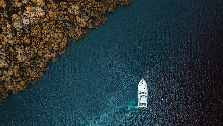aerial, sea, boat, vehicle, water, trees, drone photo, top view