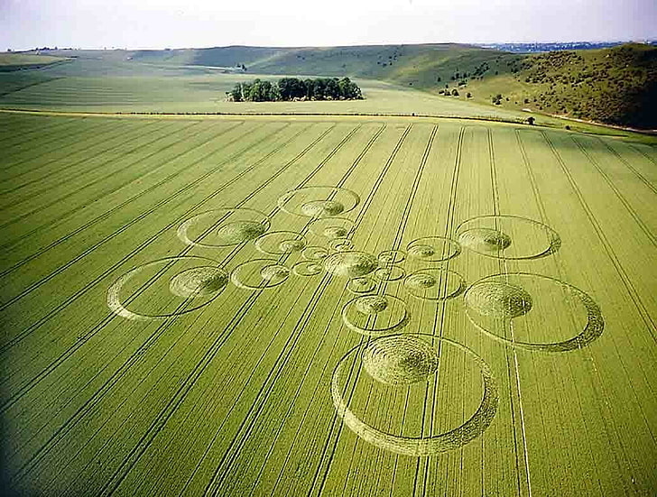 Man Made, Crop Circles