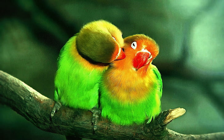 two green and orange birds, animal themes, vertebrate, animal wildlife