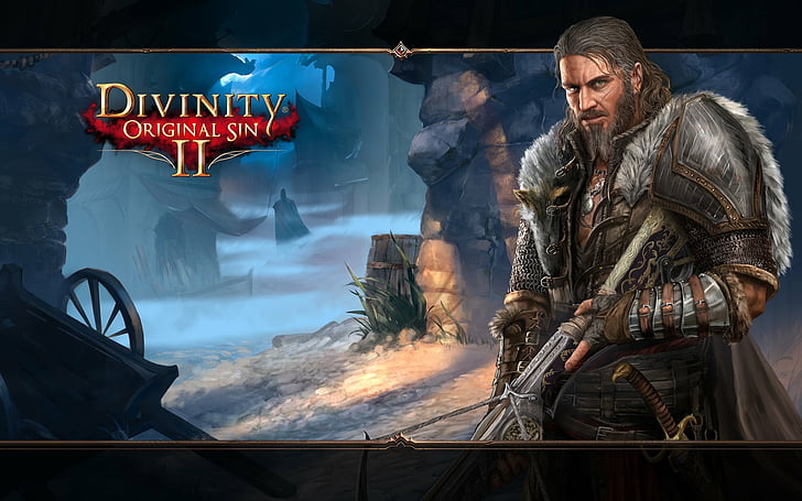 Video Game, Divinity: Original Sin II, HD wallpaper