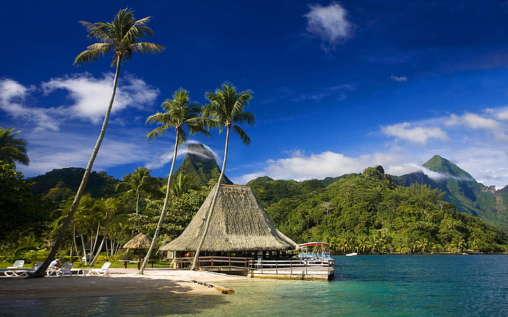 brown nipa hut, beach, tropics, palm trees, cafe, Tahiti, Moorea