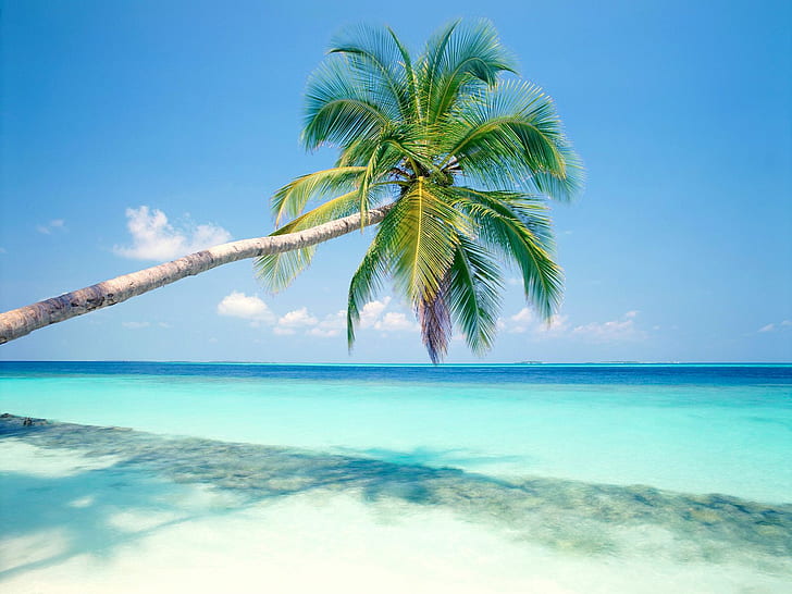 Tropical Island HD, beach, HD wallpaper