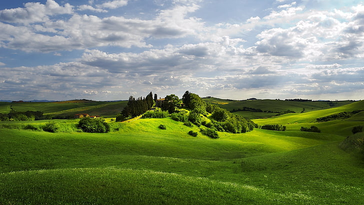 green leafed trees, grass, summer, field, sky, light, tuscany, HD wallpaper